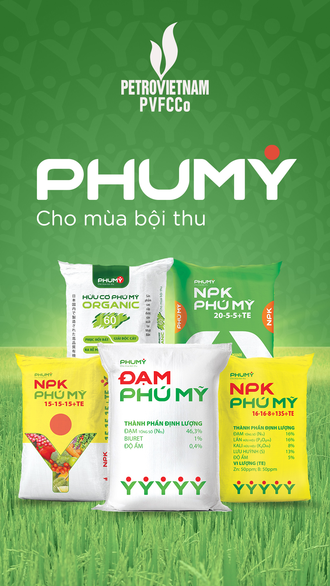 phu-my-doc