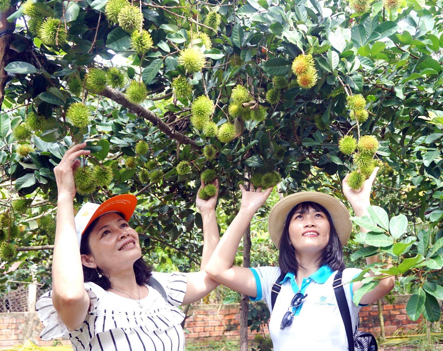 Hè đến về Vĩnh Long trải nghiệm khám phá sông nước miệt vườn