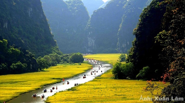 Tam Cốc – Mùa vàng vẫy gọi Tam Cốc – Mùa vàng vẫy gọi