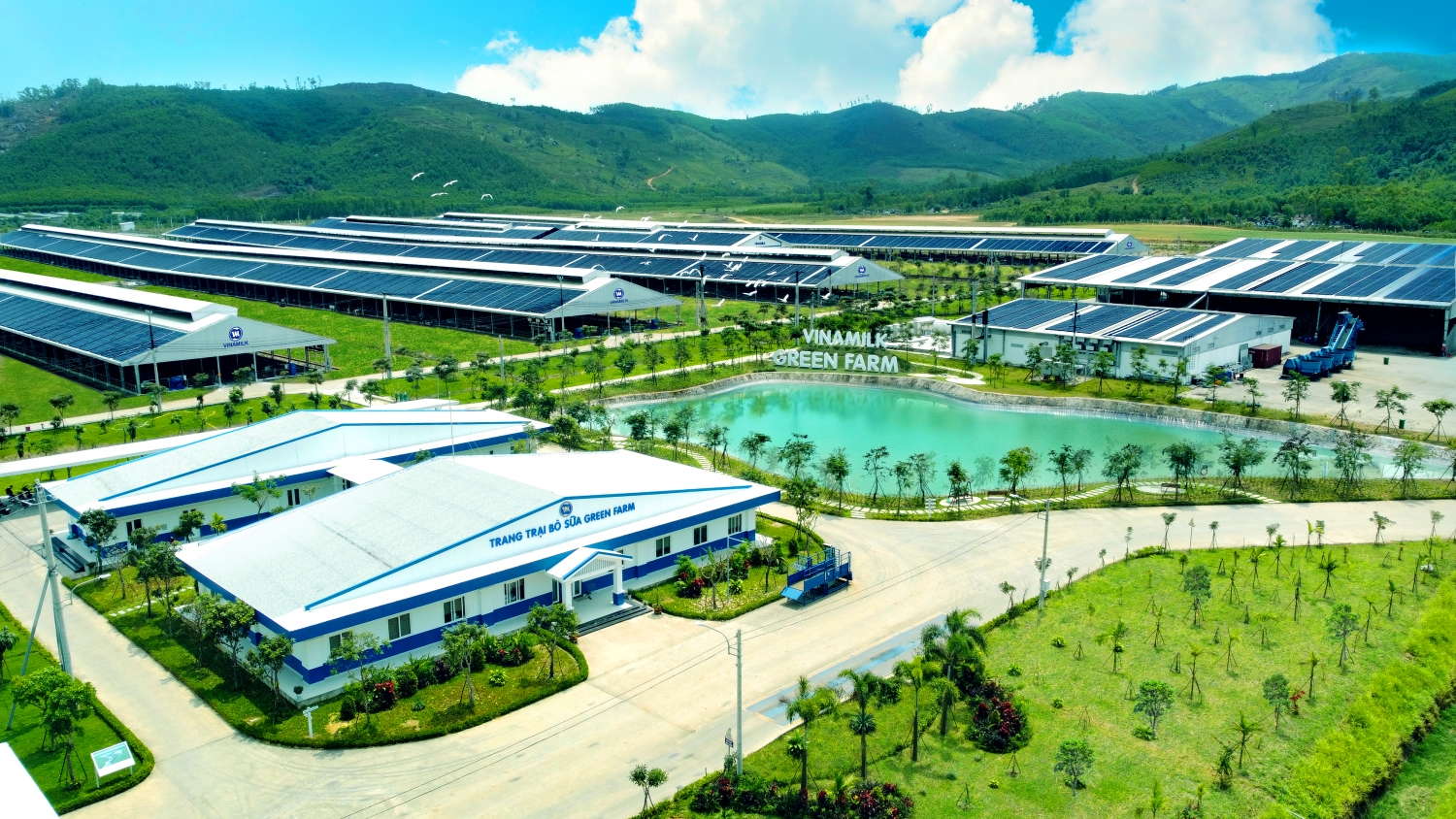 Vinamilk Green Farm - Mô hình trang trại bò sữa phát triển bền vững