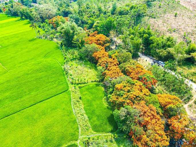 Vĩnh Thạnh - Điểm đến mới của du lịch Bình Định