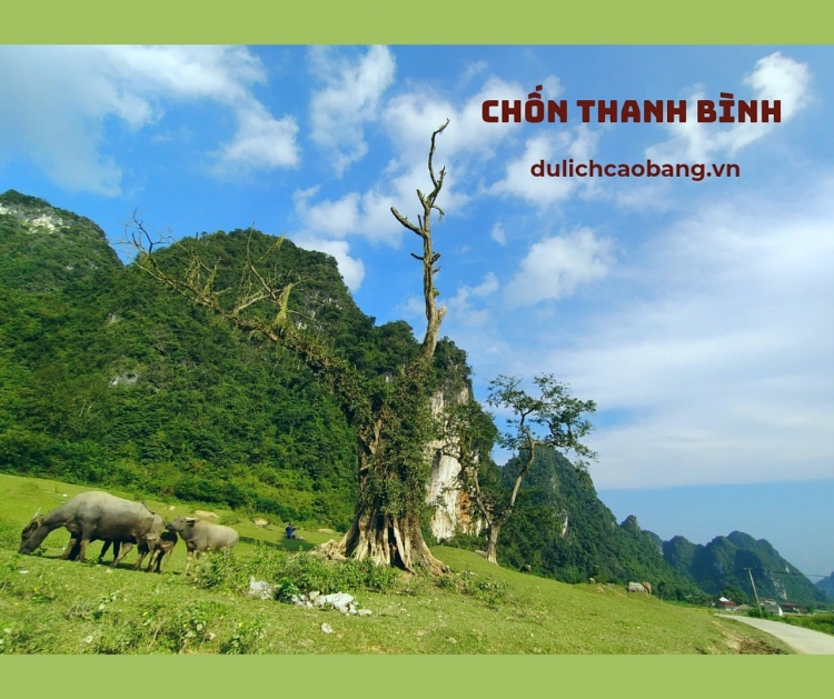Vẻ đẹp yên bình hồ Nà Lái Vẻ đẹp yên bình hồ Nà Lái