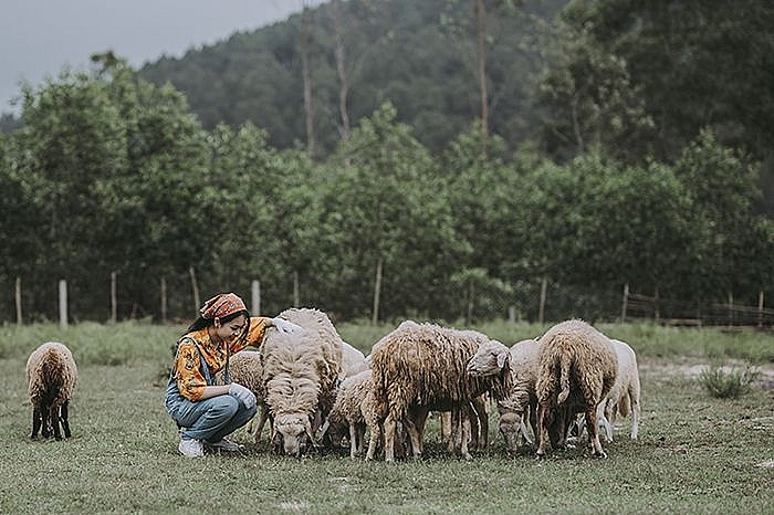 Khám phá điểm đến ngày hè – Đồng cừu ở Đồng Nai Khám phá điểm đến ngày hè – Đồng cừu ở Đồng Nai