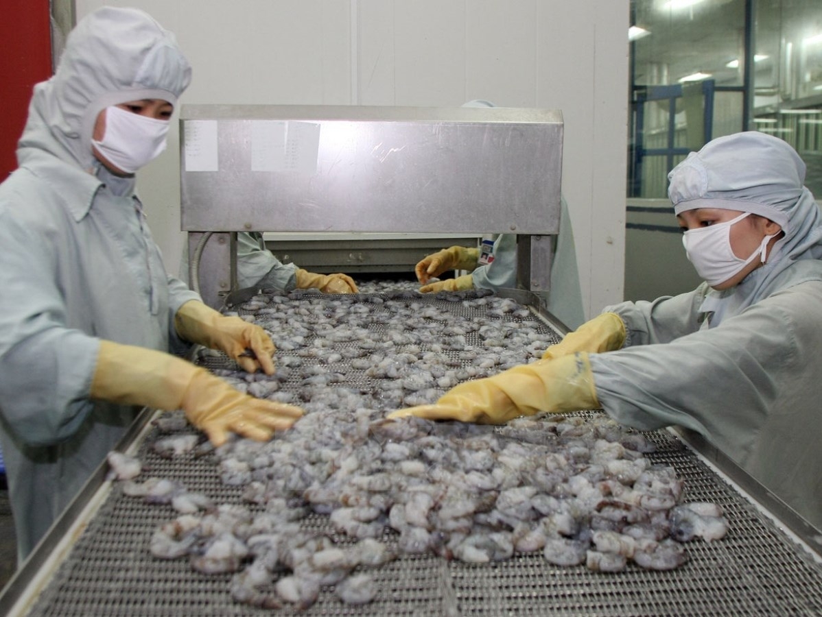 EVFTA - Cơ hội doanh nghiệp Việt Nam xuất khẩu thủy sản trực tiếp vào thị trường Bắc Âu EVFTA - Cơ hội doanh nghiệp Việt Nam xuất khẩu thủy sản trực tiếp vào thị trường Bắc Âu