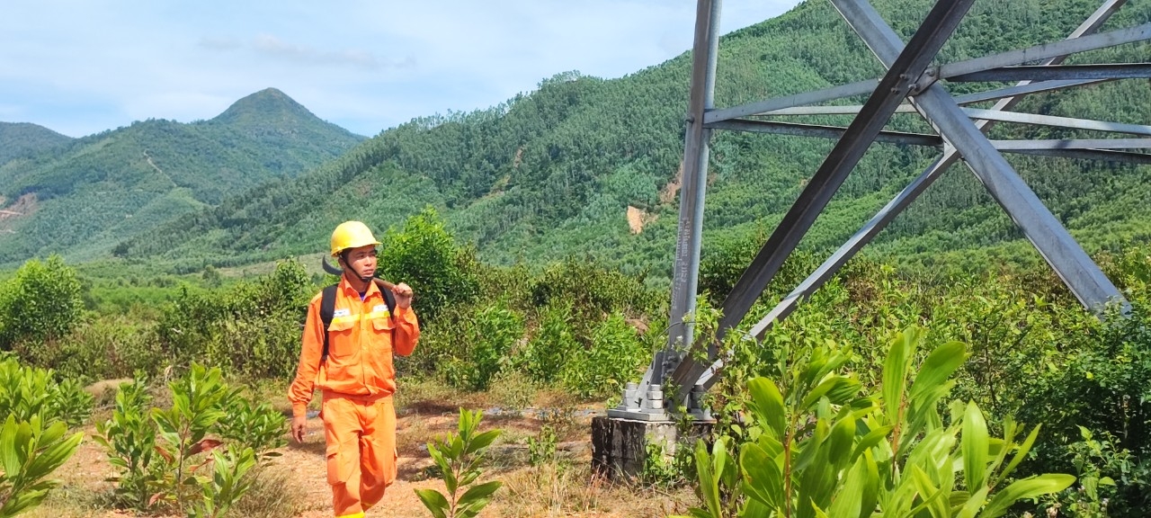 Đảm bảo truyền tải điện an toàn, liên tục, ổn định khu vực tỉnh Bình Định mùa nắng nóng