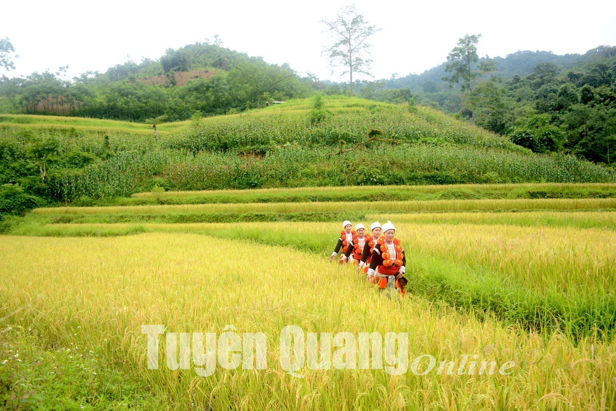 “Ngọc thô” Sơn Phú