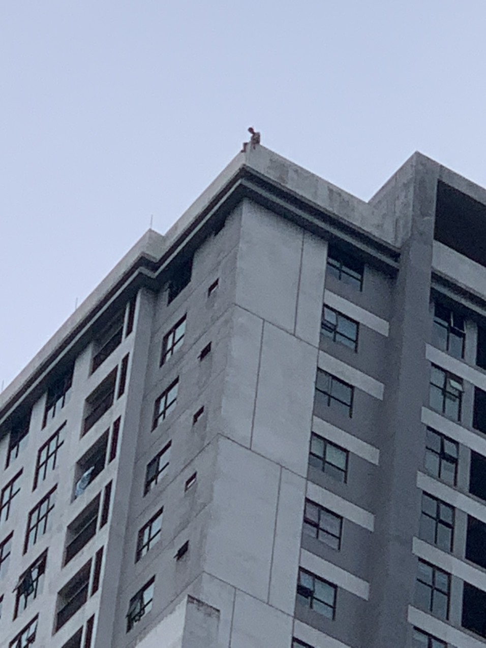 Hà Nội: Giải cứu thành công người đàn ông có ý định tự tử tại tòa R2, KĐT Goldmark City Phú Diễn
