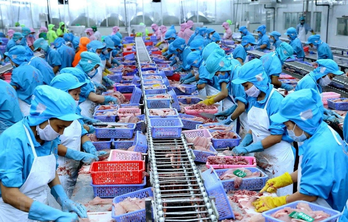 Xuất khẩu thủy sản của Việt Nam ước đạt gần 5,8 tỷ USD trong nửa đầu năm 2022 Xuất khẩu thủy sản của Việt Nam ước đạt gần 5,8 tỷ USD trong nửa đầu năm 2022