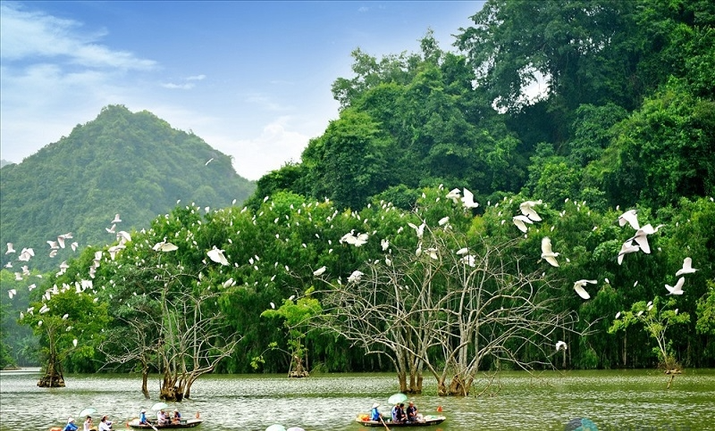 Vẻ đẹp hoang sơ độc đáo của Thung Nham