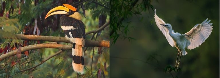 Vẻ đẹp hoang sơ độc đáo của Thung Nham