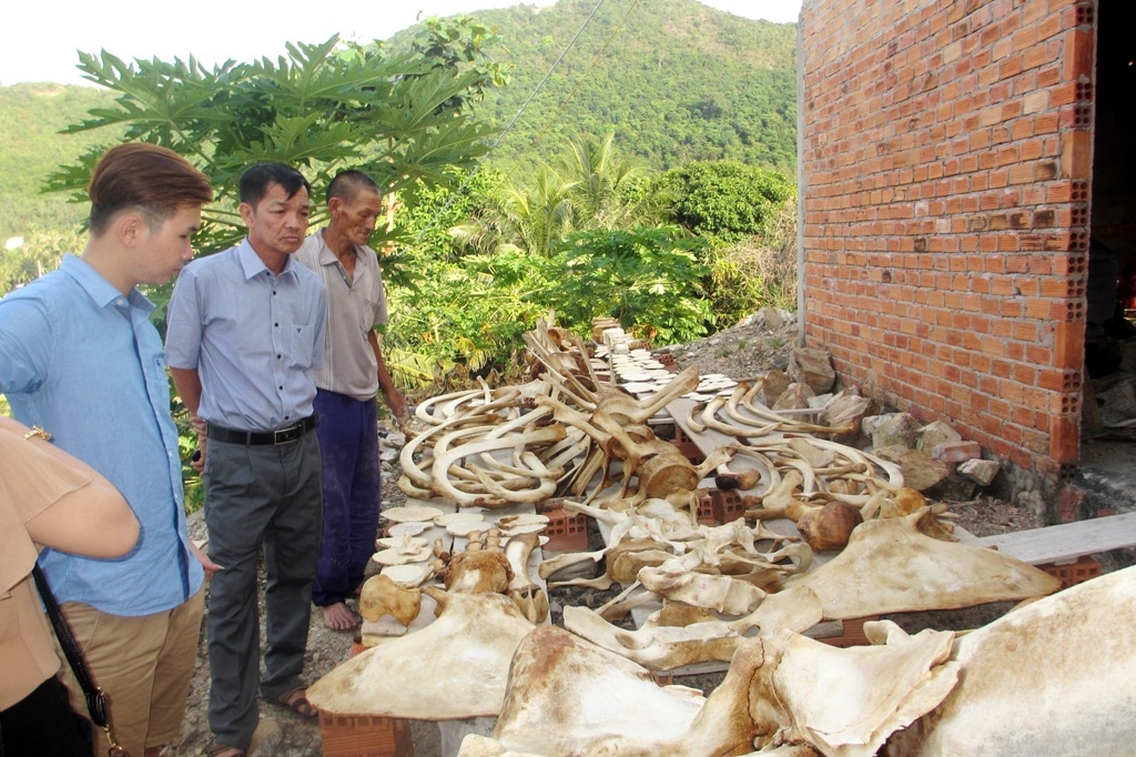 Quần đảo Nam Du - Thiên đường biển Tây