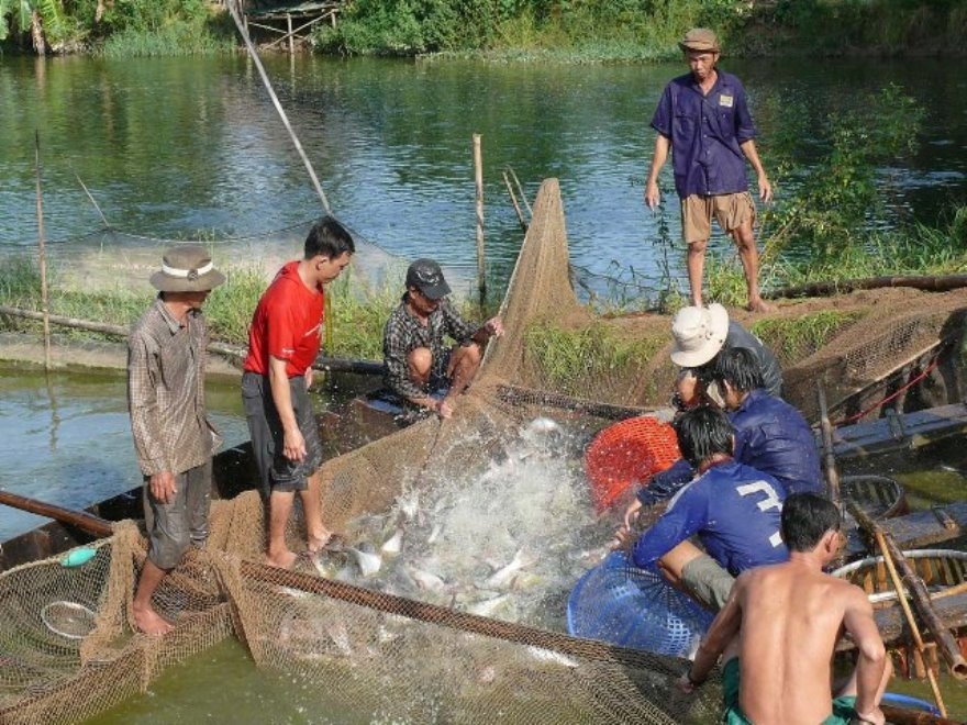 Trở lại Thanh Chăn