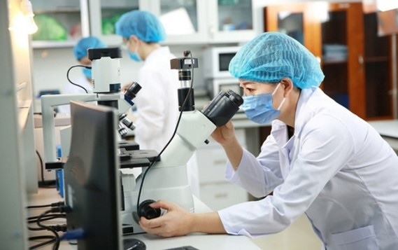 Thành lập Hội đồng thẩm định Quy hoạch mạng lưới tổ chức khoa học và công nghệ công lập