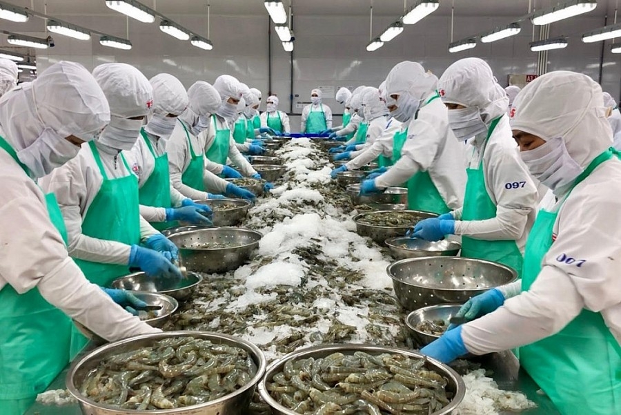 Tin tức kinh tế ngày 26/11: Xuất khẩu thủy sản lần đầu tiên vượt mốc 10 tỉ USD