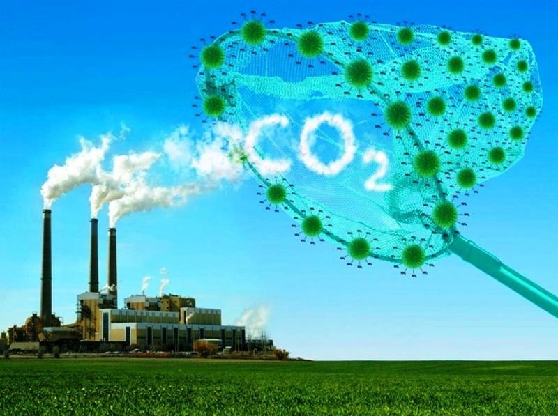 Australia hỗ trợ 6 dự án phát triển thị trường carbon tại Việt Nam Australia hỗ trợ 6 dự án phát triển thị trường carbon tại Việt Nam