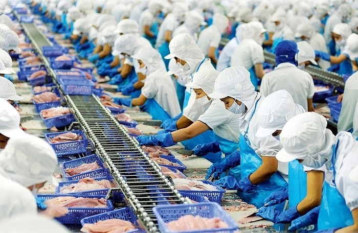 Tin tức kinh tế ngày 11/12: Xuất khẩu thủy sản đối diện nhiều khó khăn