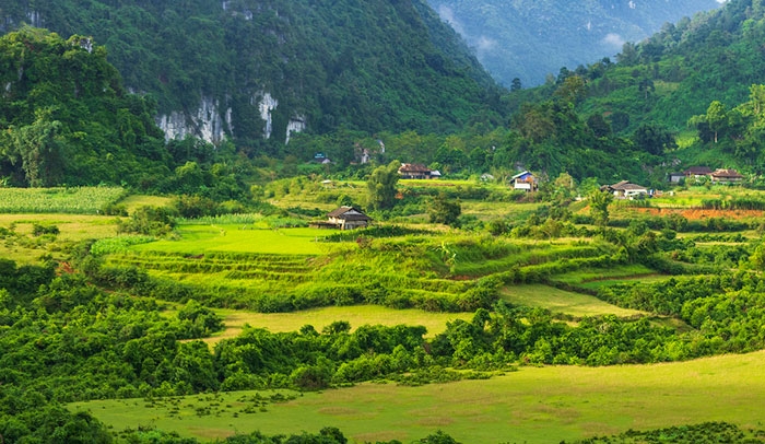 Thung lũng Nà Lùng - Điểm đến mới mẻ và hấp dẫn Thung lũng Nà Lùng - Điểm đến mới mẻ và hấp dẫn