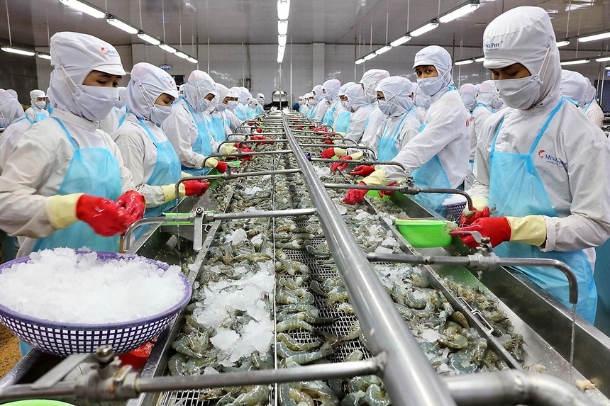 Tin tức kinh tế ngày 25/12: Xuất khẩu tôm sang Úc tăng trưởng kỷ lục