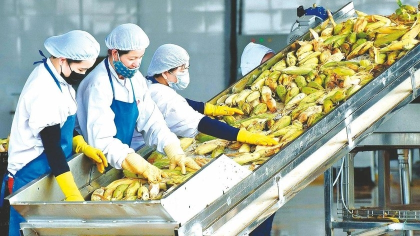 Tin tức kinh tế ngày 27/12: Xuất khẩu nông sản đạt kỷ lục hơn 53 tỷ USD