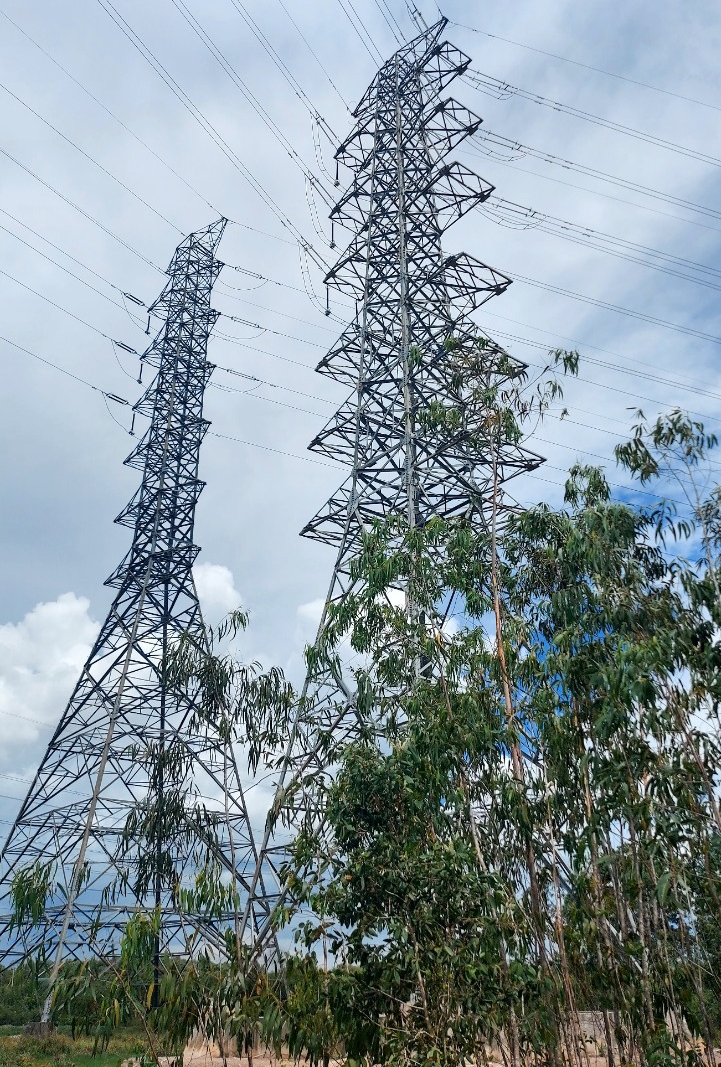 Hoàn thành hạng mục đấu nối 220kV số 1 Trạm biến áp 500kV Đức Hòa và đấu nối