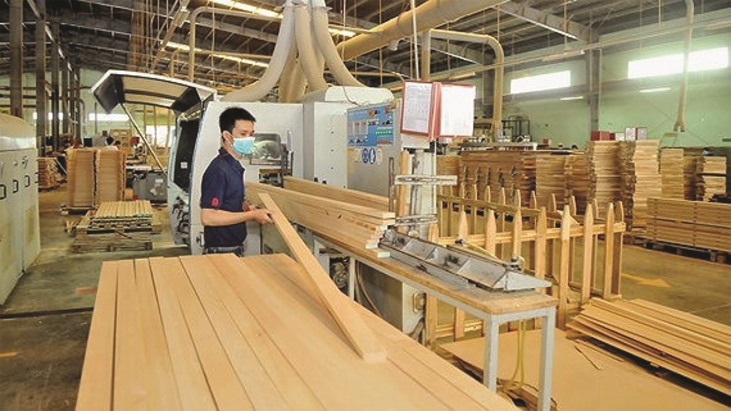 Tin tức kinh tế ngày 30/12: Ngành lâm nghiệp xuất siêu hơn 14 tỷ USD