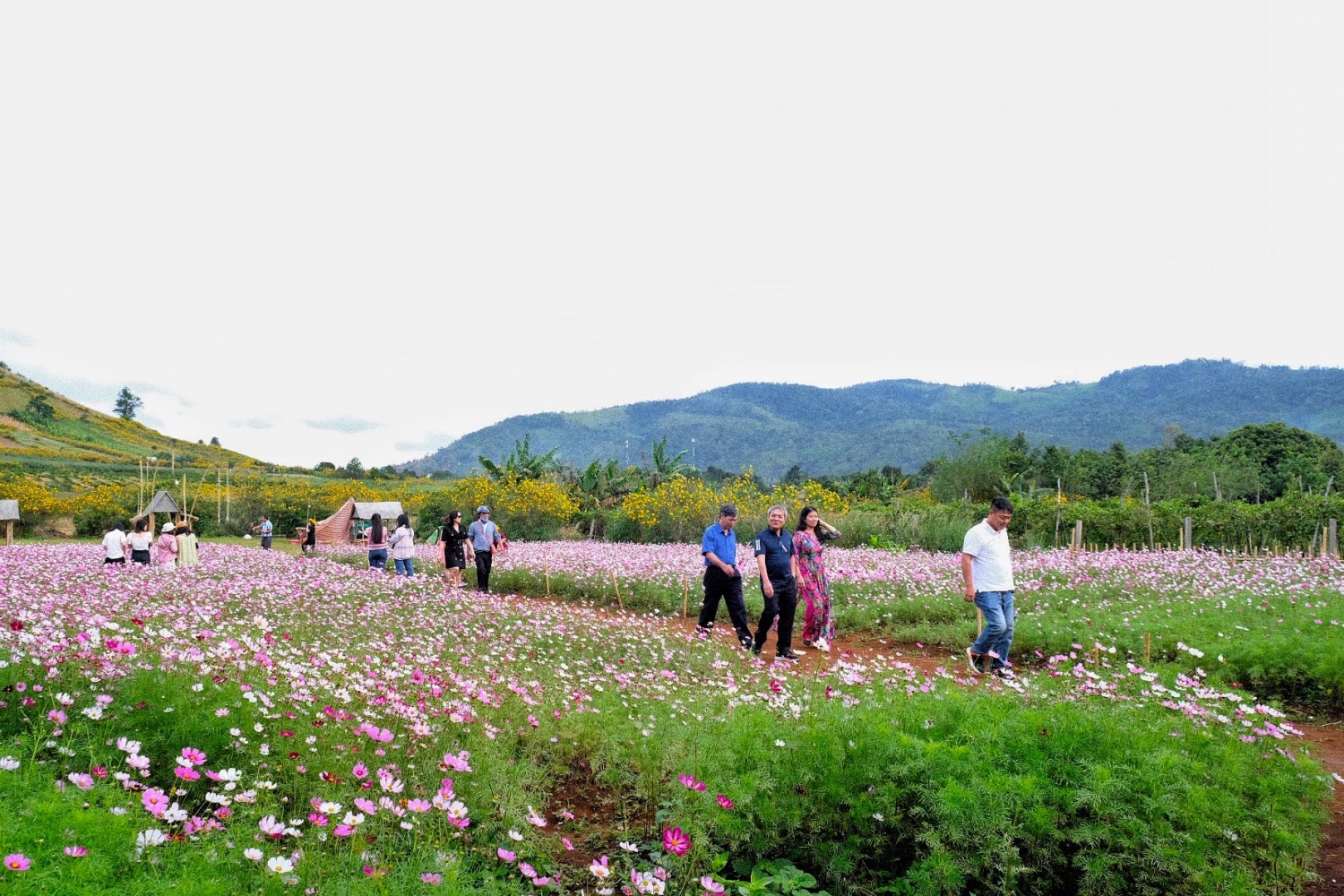 Gia Lai: Điểm đến mới hấp dẫn của Tây Nguyên Gia Lai: Điểm đến mới hấp dẫn của Tây Nguyên