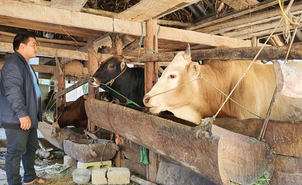 Tiếp sức cho nông nghiệp nông thôn phát triển bền vững
