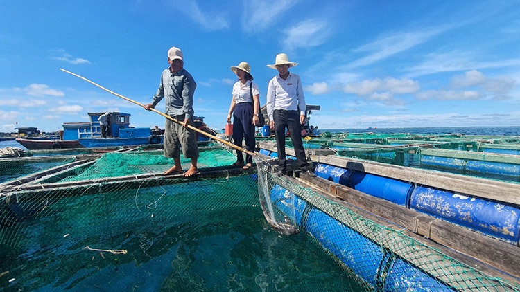 Tiếp sức cho nông nghiệp nông thôn phát triển bền vững
