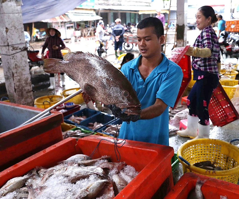 Tỉnh Kiên Giang huy động nguồn lực phát triển kinh tế biển, phấn đấu sớm trở thành trung tâm kinh tế biển quốc gia
