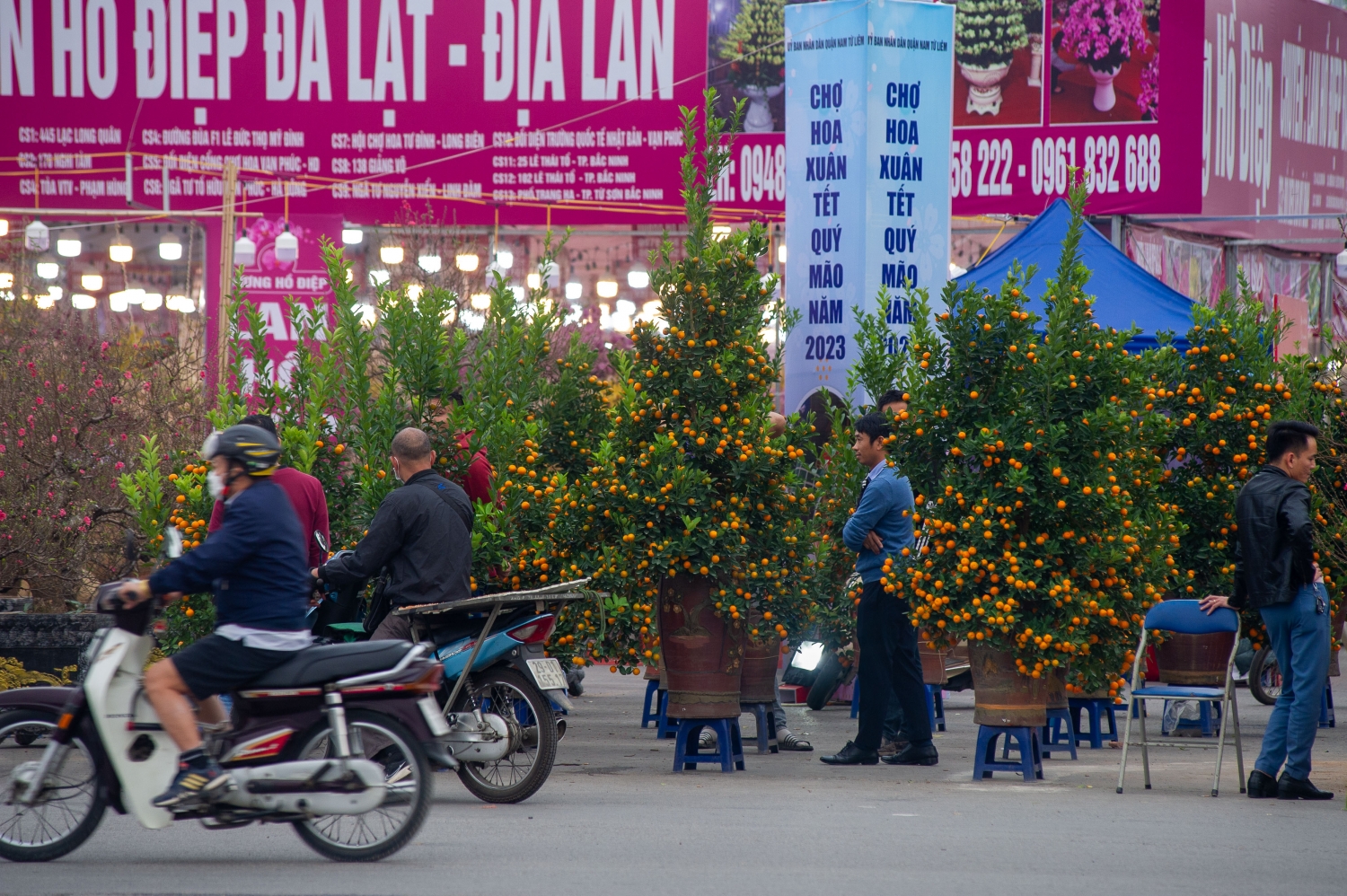 Phố phường Hà Nội tràn ngập sắc hoa Tết