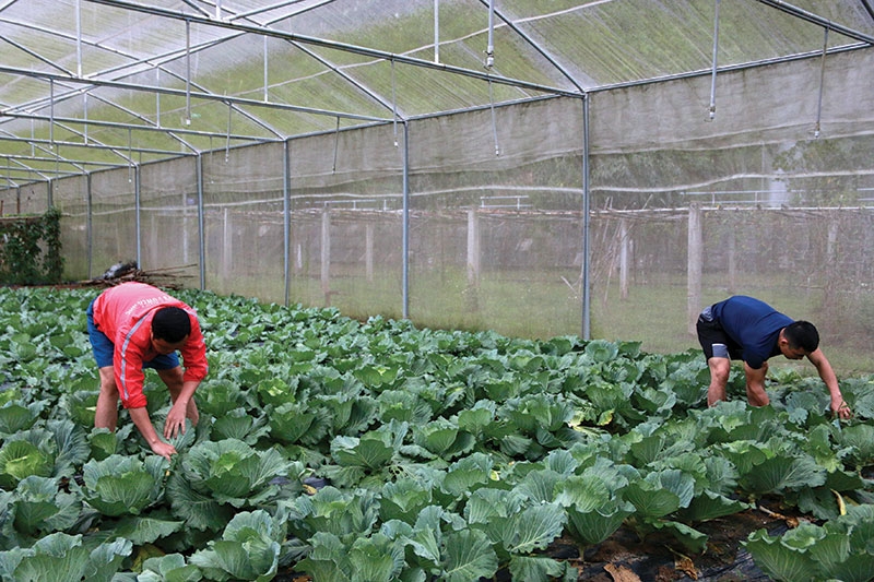 Sống chậm ở Hủa Na Sống chậm ở Hủa Na