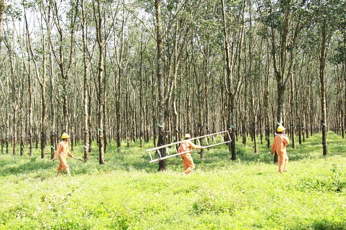 Một ngày theo chân Đội Quản lý sửa chữa đường dây và trạm biến áp vùng biên