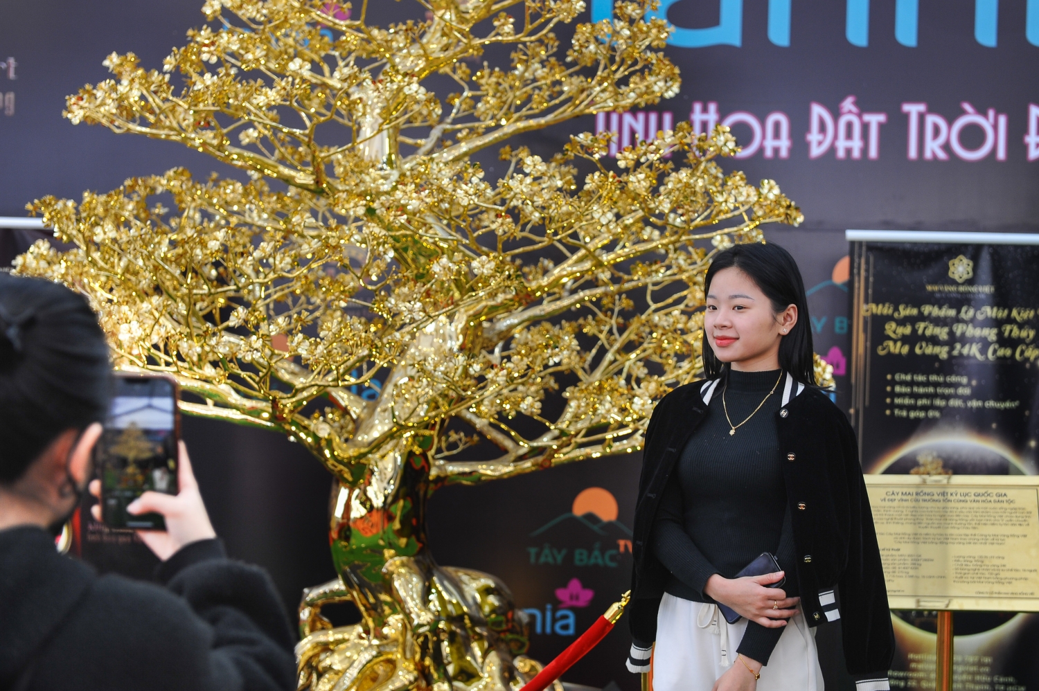 Tết Quý Mão 2023: Cây mai mạ vàng 24k được rao bán gần 6 tỷ đồng ở Hà Nội Tết Quý Mão 2023: Cây mai mạ vàng 24k được rao bán gần 6 tỷ đồng ở Hà Nội