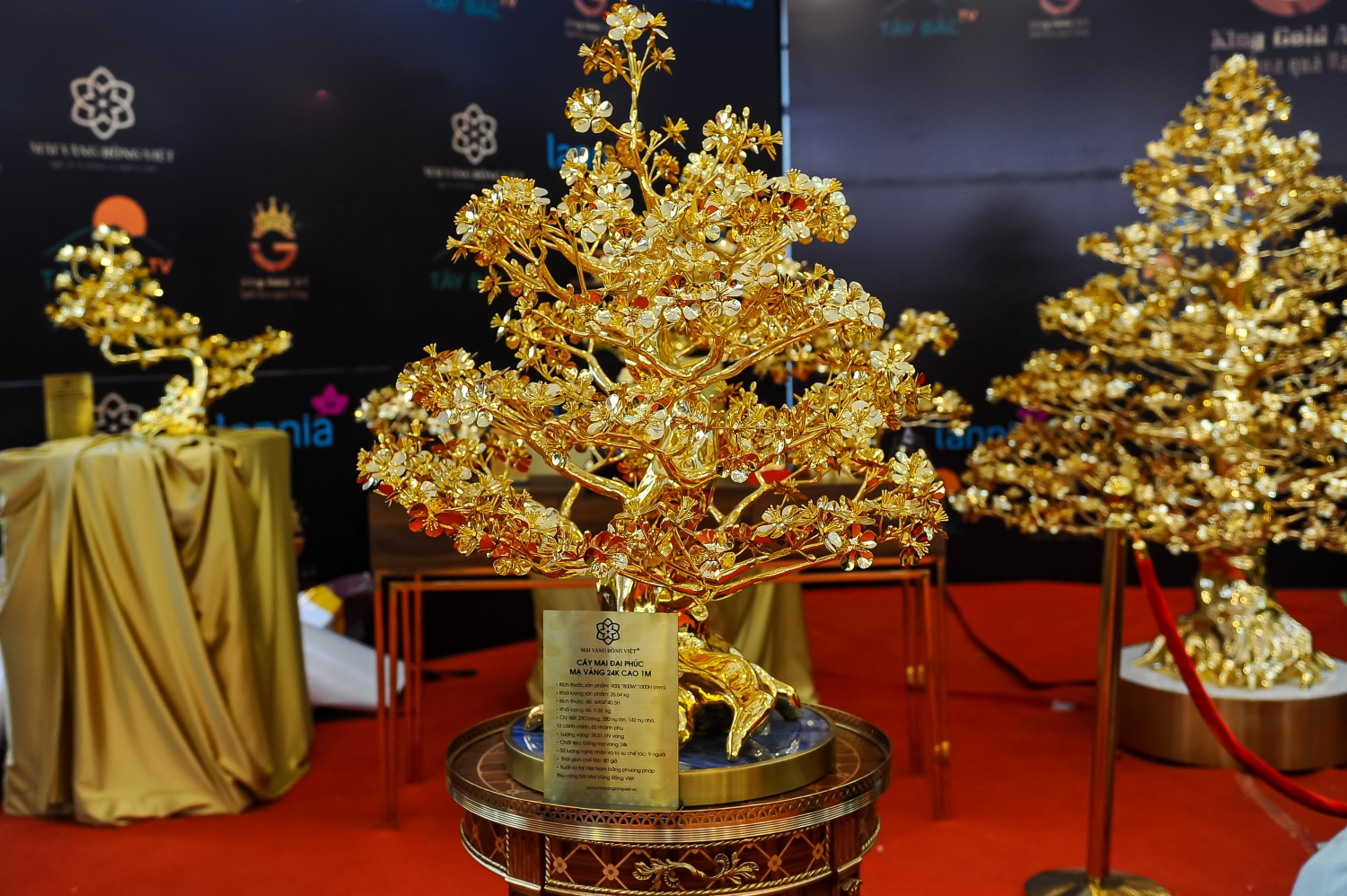 Tết Quý Mão 2023: Cây mai mạ vàng 24k được rao bán gần 6 tỷ đồng ở Hà Nội Tết Quý Mão 2023: Cây mai mạ vàng 24k được rao bán gần 6 tỷ đồng ở Hà Nội