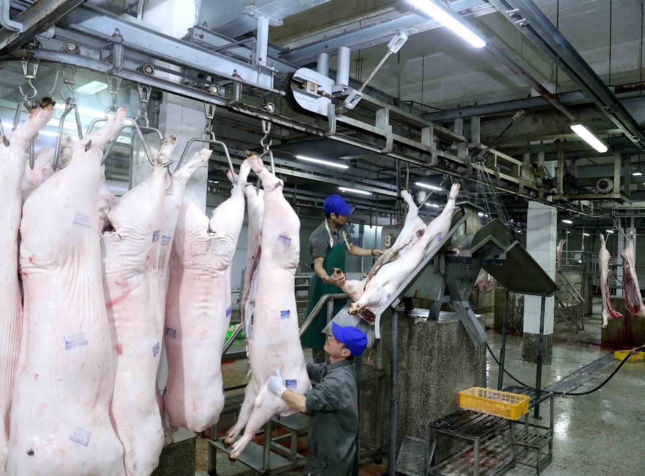 Tăng cường quản lý, kiểm soát giết mổ động vật bảo đảm an toàn dịch bệnh, an toàn thực phẩm