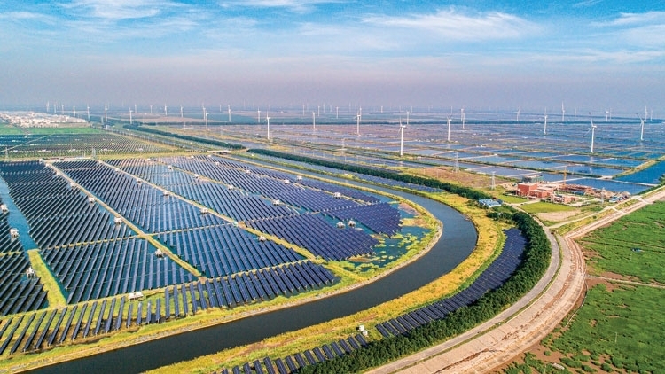 BP: Cuộc chiến của Nga ở Ukraine đang đẩy nhanh quá trình chuyển dịch khỏi dầu khí