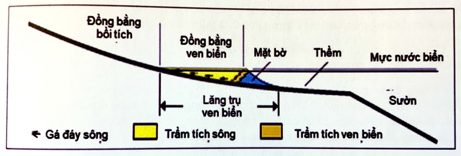 Tướng đá và môi trường trầm tích