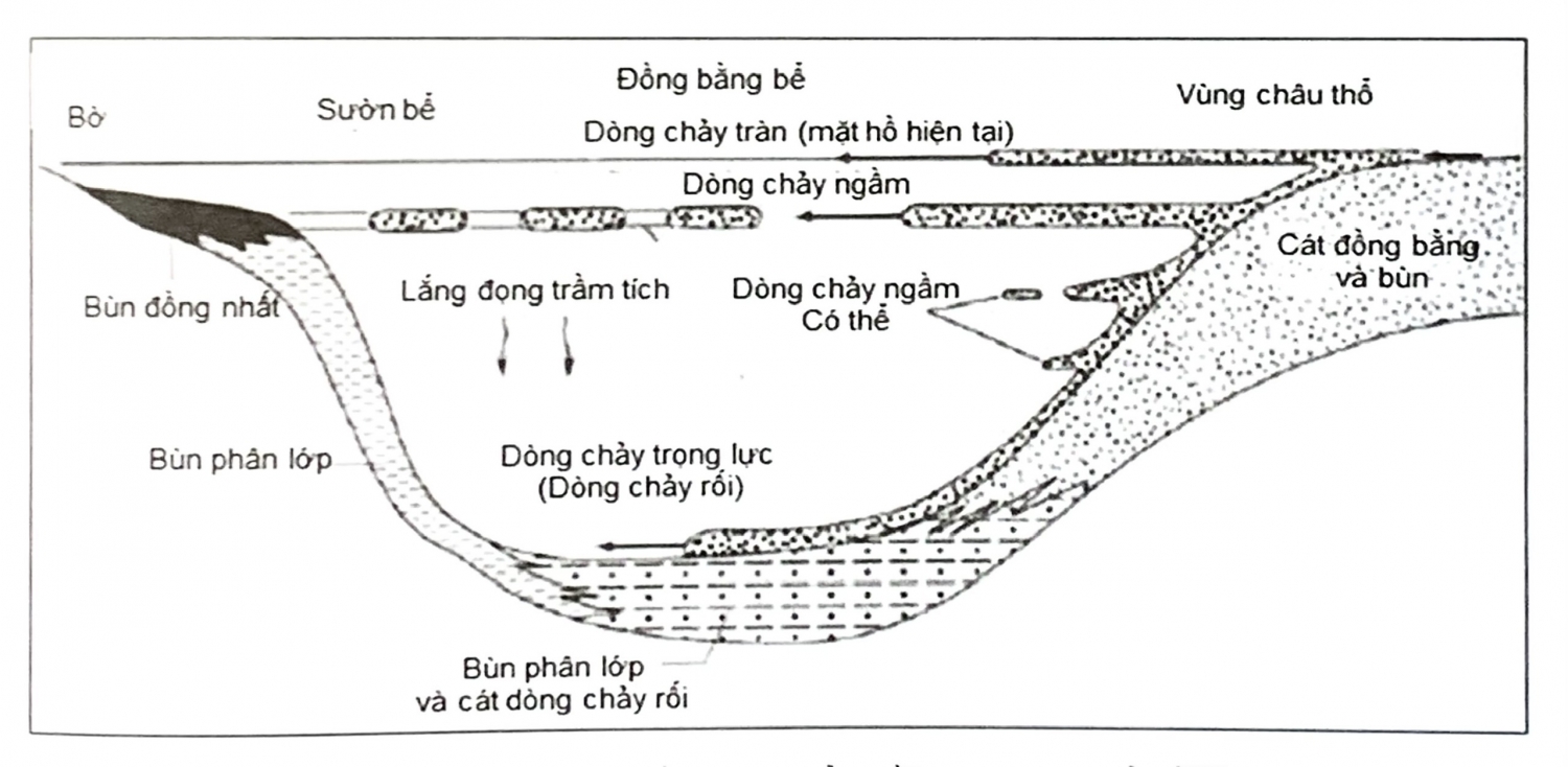 Trầm tích bể hồ