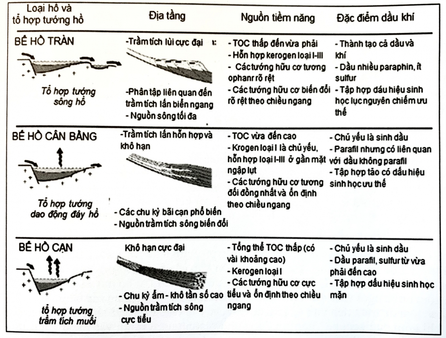 Trầm tích bể hồ