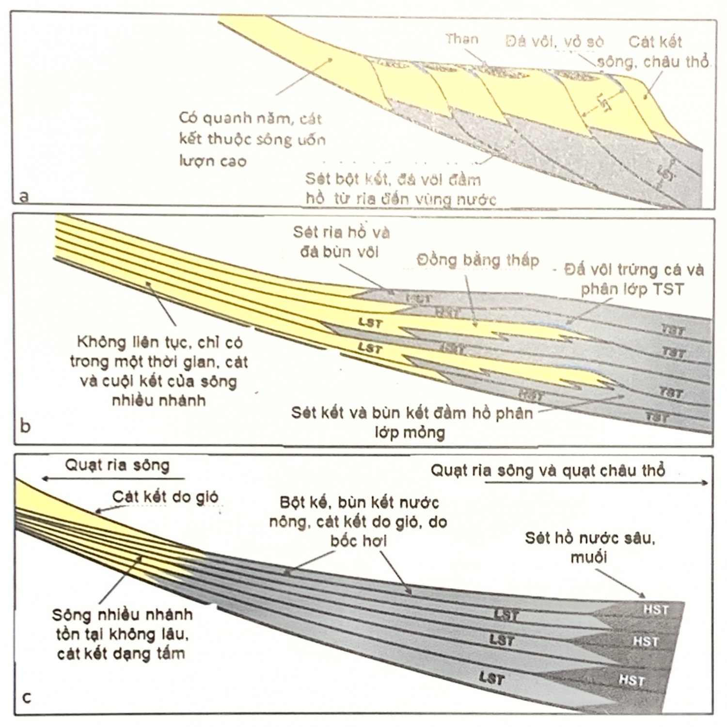 Trầm tích bể hồ