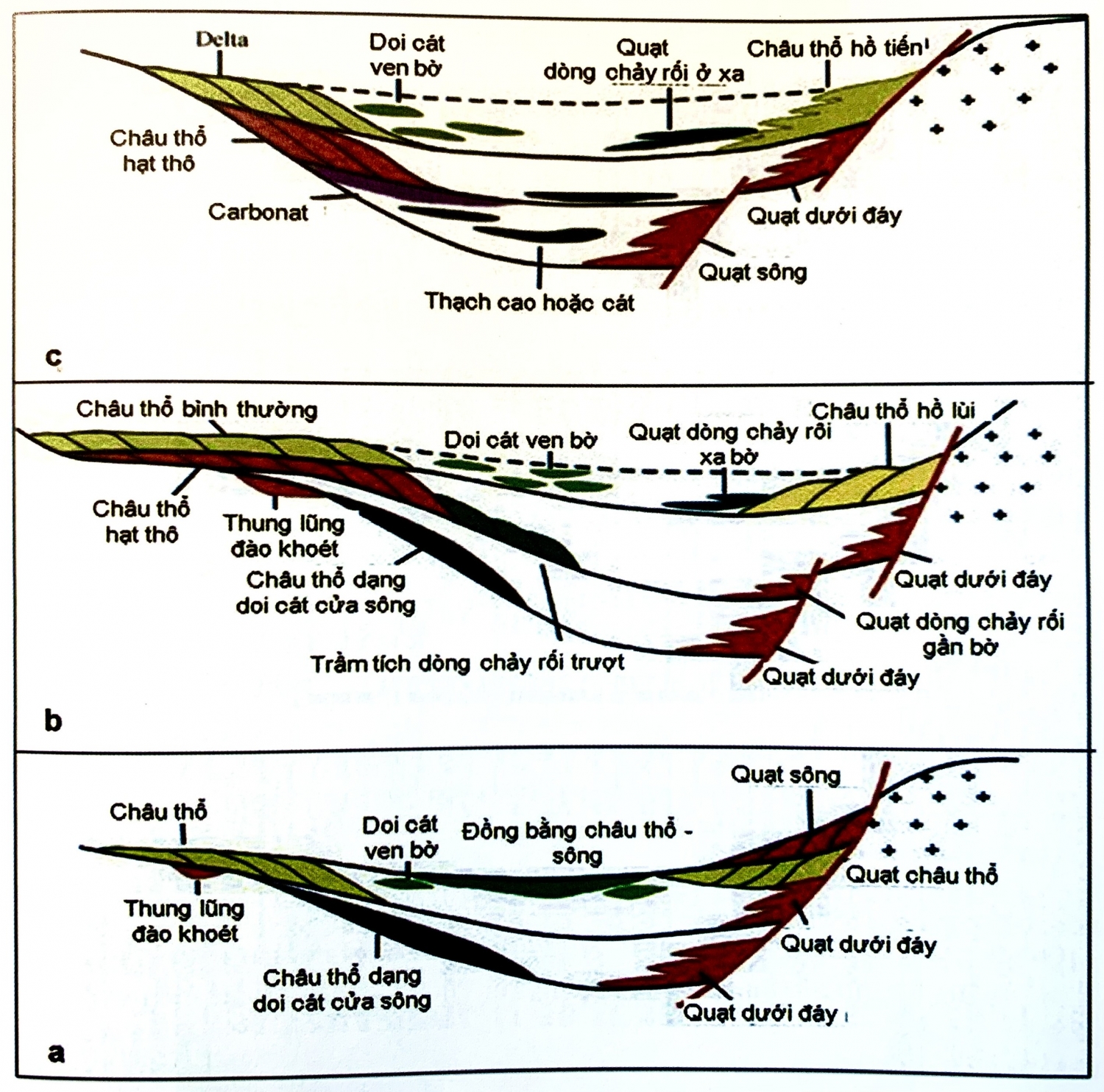 Trầm tích bể hồ