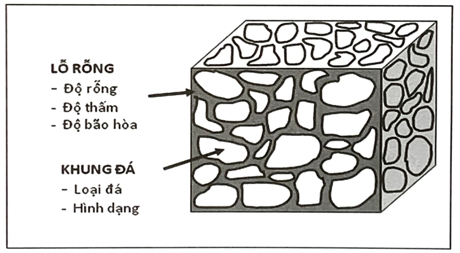 Hệ thống dầu khí - Đá sinh dầu, đá chứa và đá chắn