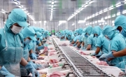 Tin tức kinh tế ngày 11/2: Xuất khẩu thủy sản tuột dốc mạnh