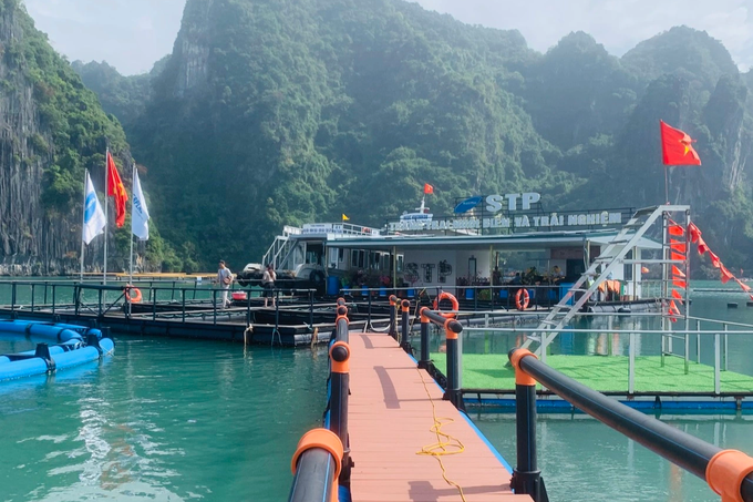 Nghề nuôi biển Việt Nam có thể thu đến 15 tỷ USD mỗi năm - 5