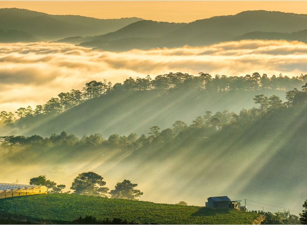 Đà Lạt lọt top điểm đến lãng mạn nhất châu Á Đà Lạt lọt top điểm đến lãng mạn nhất châu Á