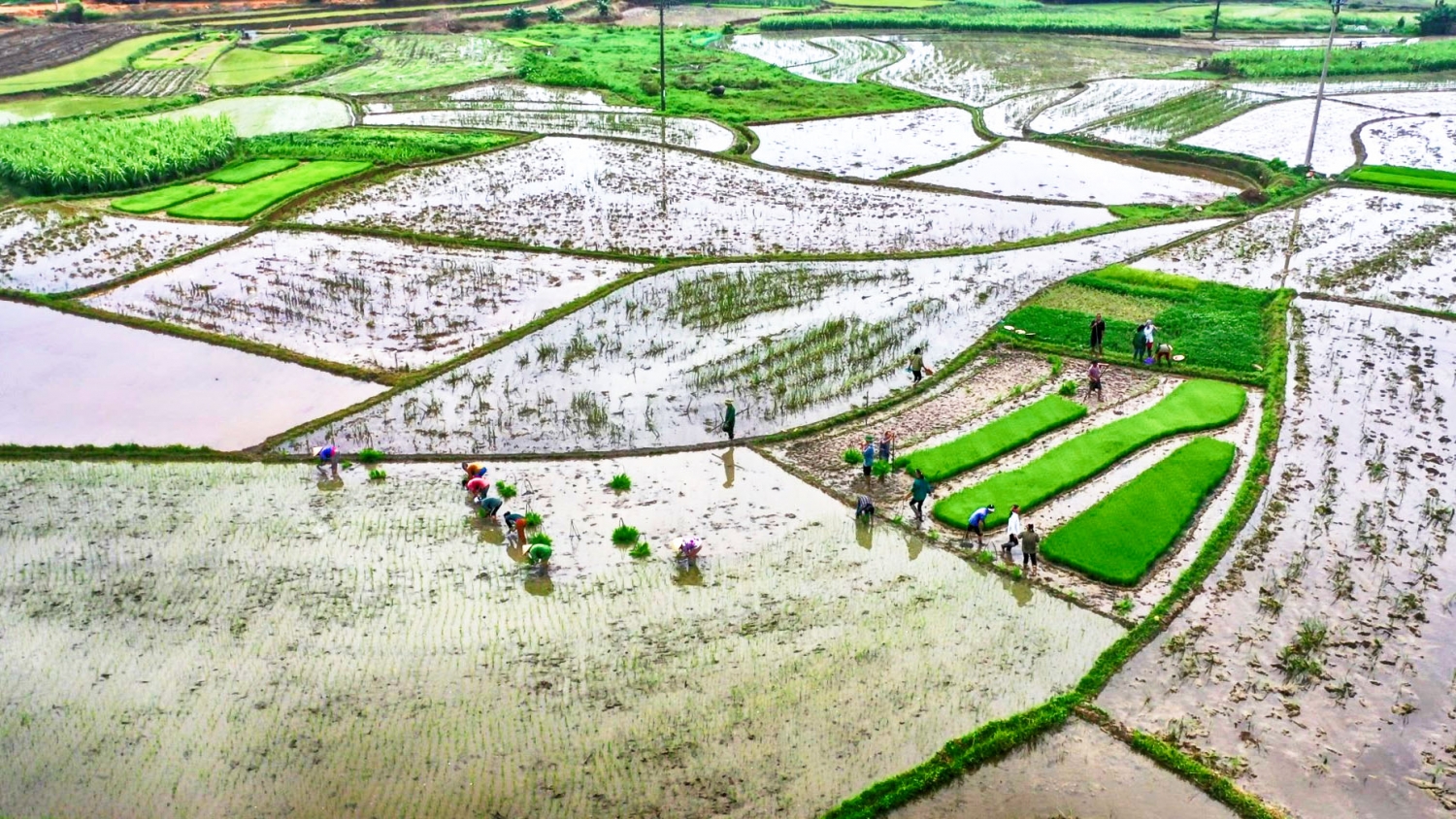 Xả hơn 3,6 tỷ m3 nước từ hồ thủy điện phục vụ vụ Đông Xuân 2023