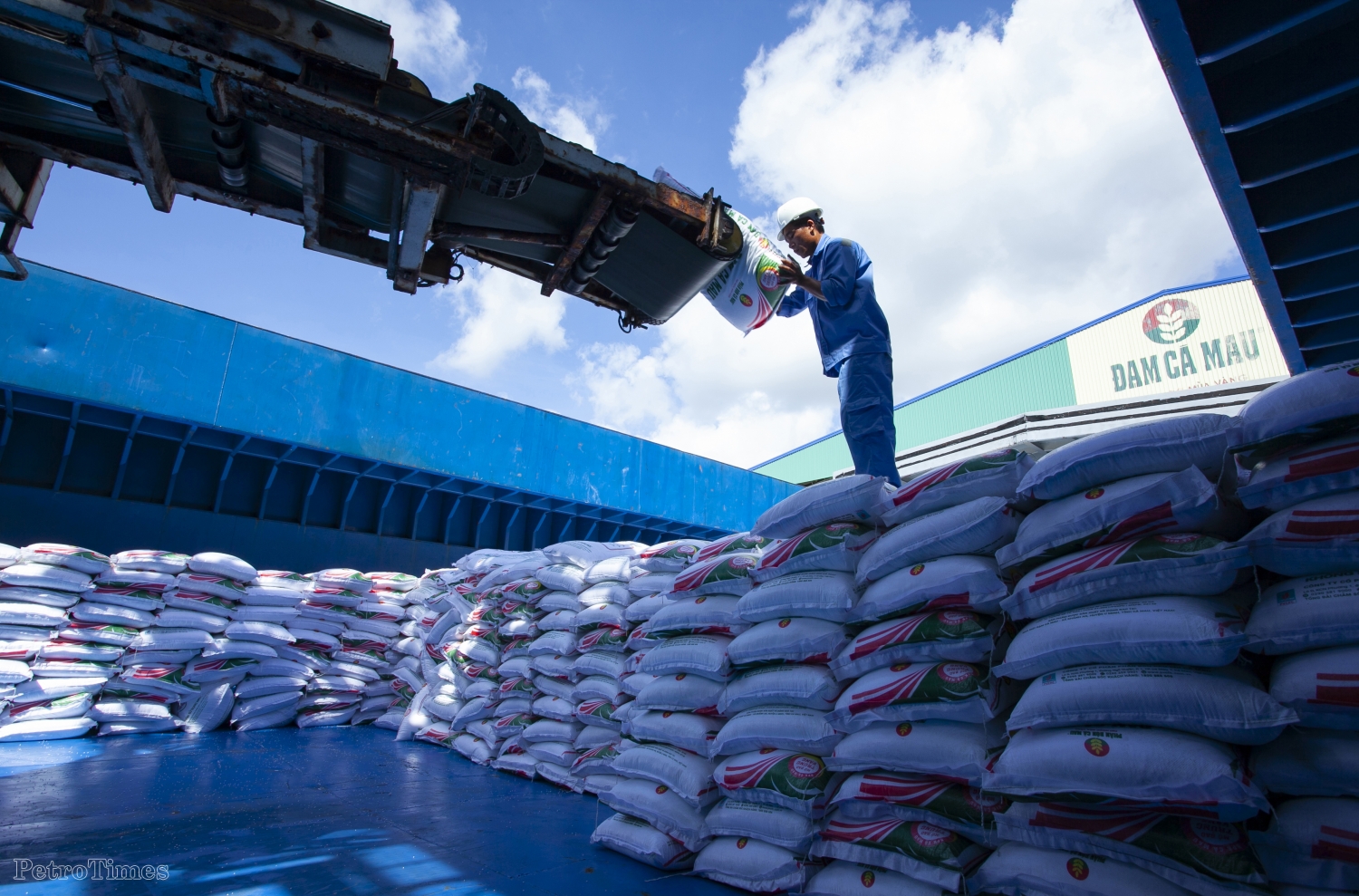 Phân bón Cà Mau nhận vinh danh Top 50 doanh nghiệp niêm yết tốt nhất 2023