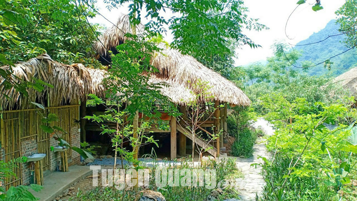 Tuyên Quang: Khơi dậy tiềm năng phát triển du lịch xanh Tuyên Quang: Khơi dậy tiềm năng phát triển du lịch xanh