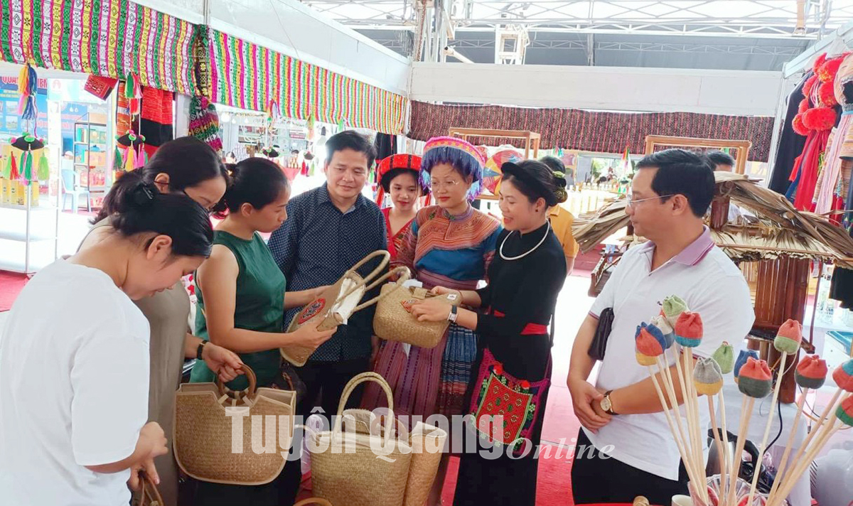 Tuyên Quang: Khơi dậy tiềm năng phát triển du lịch xanh Tuyên Quang: Khơi dậy tiềm năng phát triển du lịch xanh