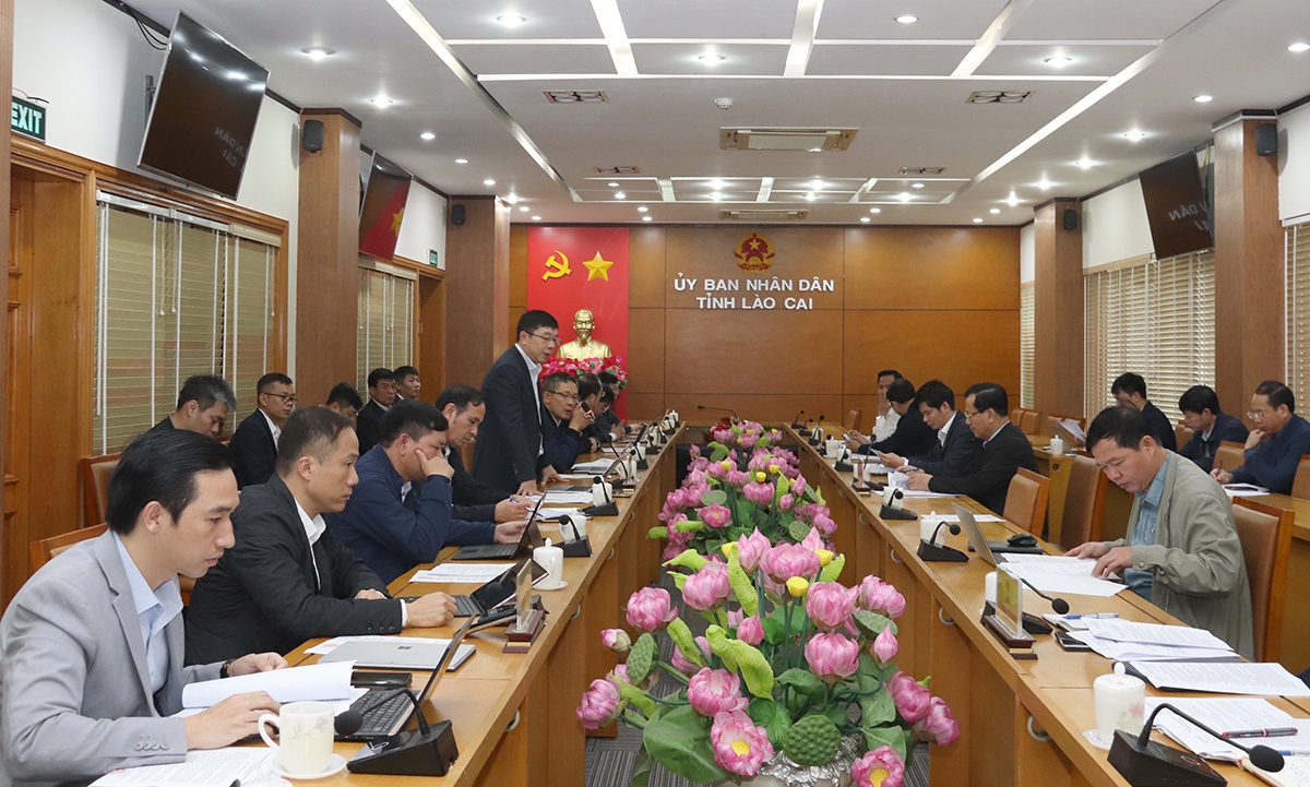 Bàn giải pháp tháo gỡ mặt bằng dự án truyền tải điện tại Lào Cai